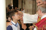 Firmung Dom, Bozen / Cresima duomo, Bolzano